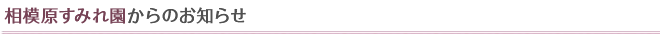 特別養護老人ホーム 相模原すみれ園からのお知らせ