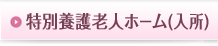 特別養護老人ホーム(入所)